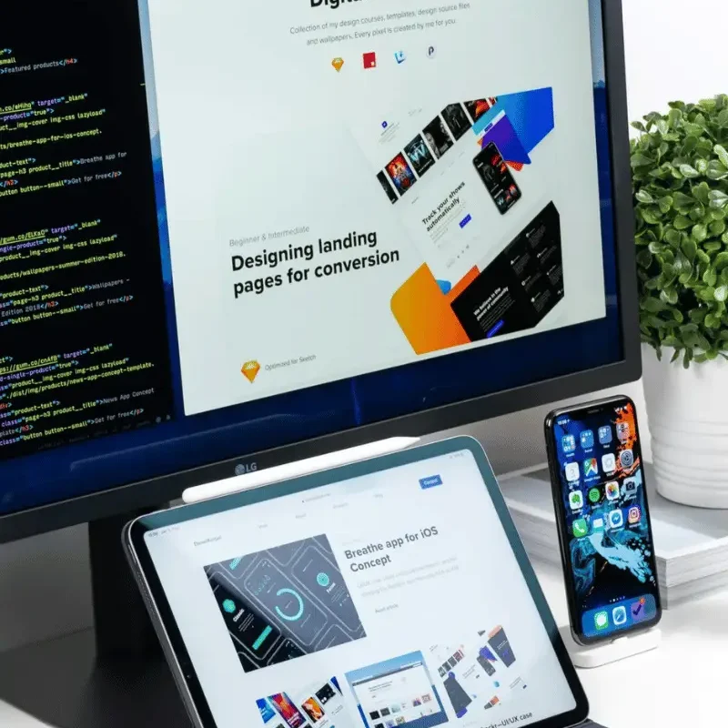 website developer (1)